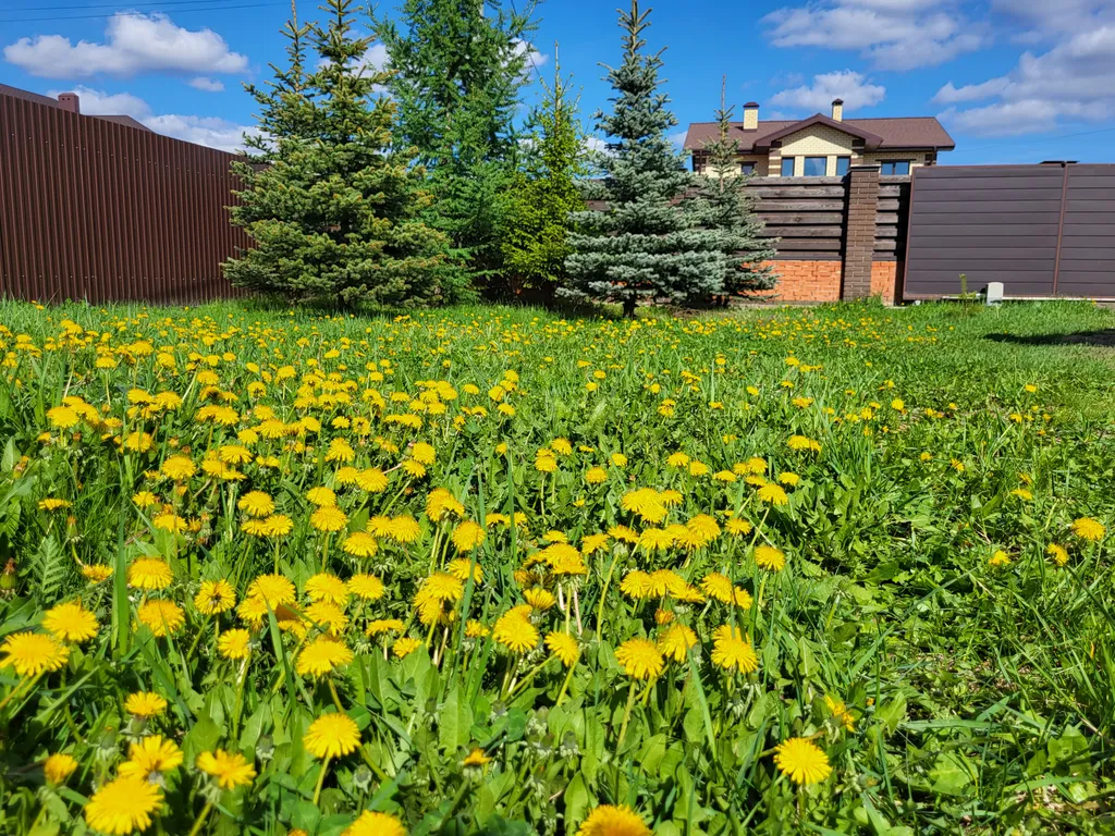 Коттедж Коттедж для отдыха — Столбище