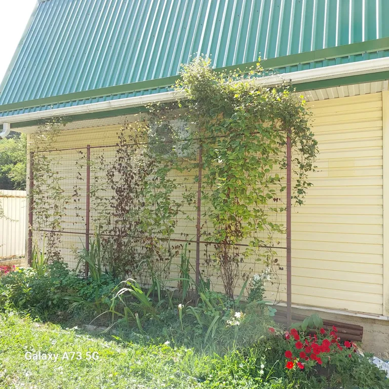 Уютный дом для семейного отдыха