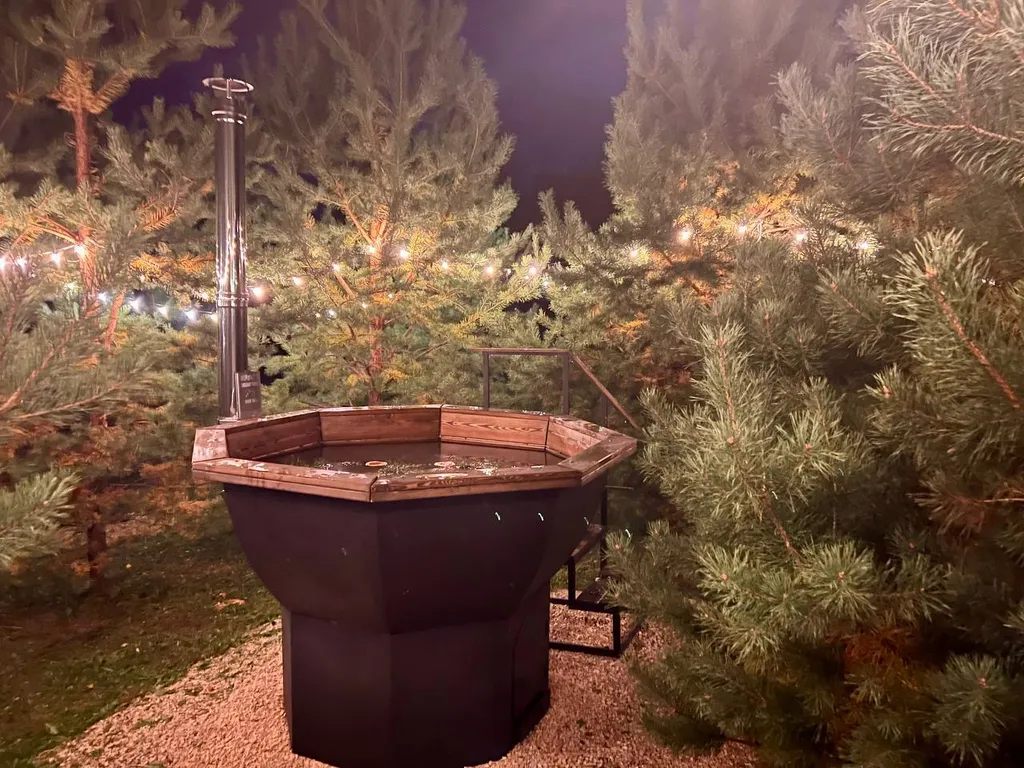 Атмосферный дом в соснах