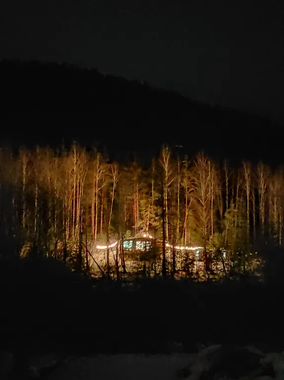 Видовой дом в лесу