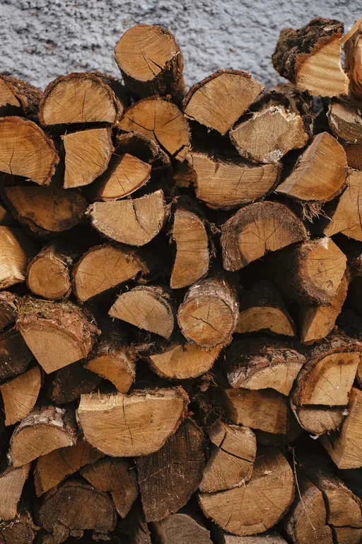 Dovbenihouse Дом с баней и купелью