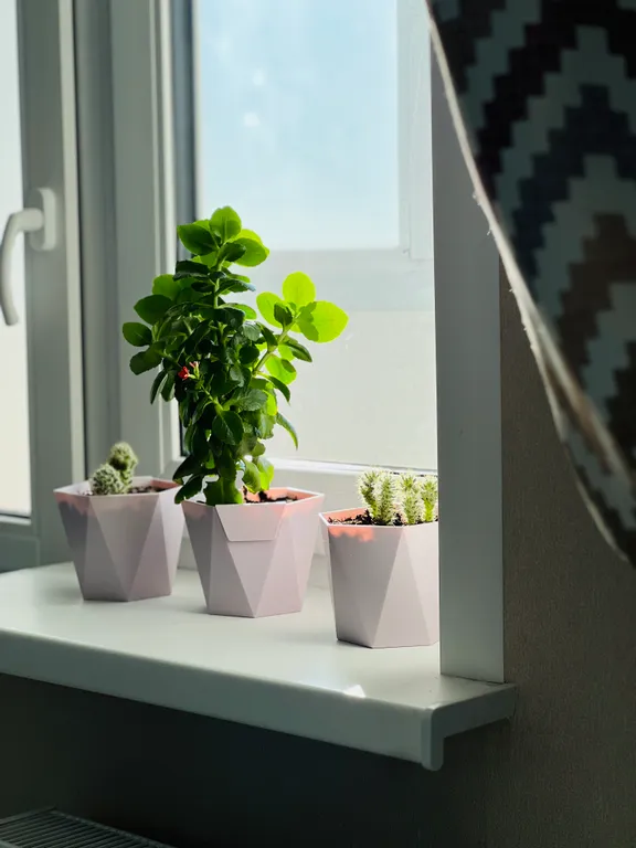 Уютная квартира в 10 минутах от центра — аренда посуточно в Калуга