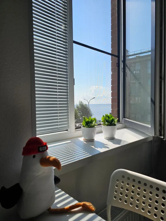 Квартира Уютная квартира-студия в Кронштадте — Кронштадт