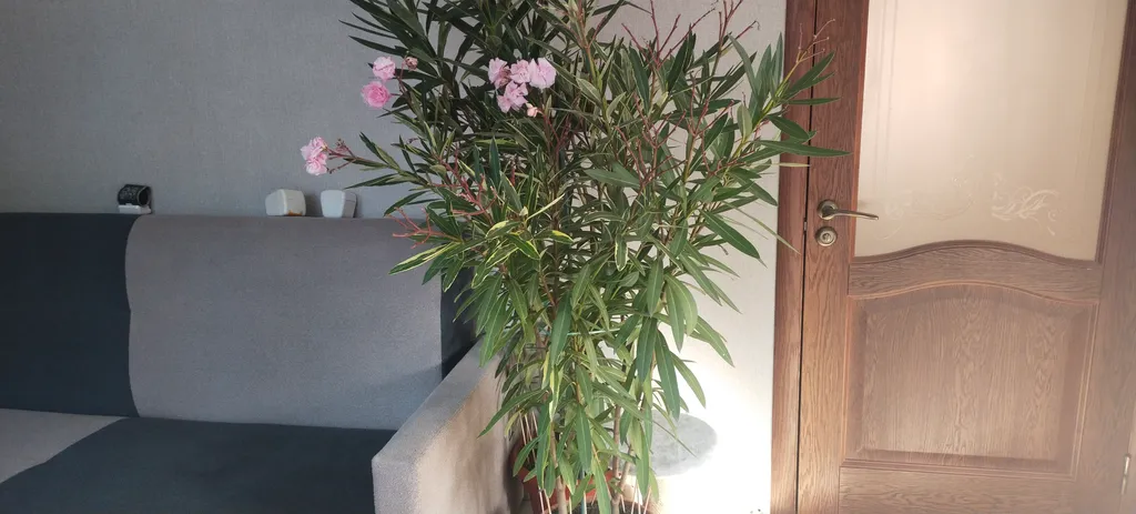 Комната 18м2 в уютном частном доме, парковка, рядом Березовское ущелье