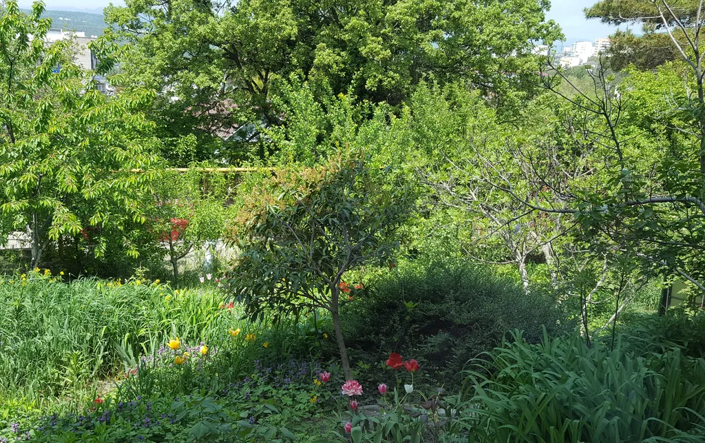 Отдельный летний домик для семьи