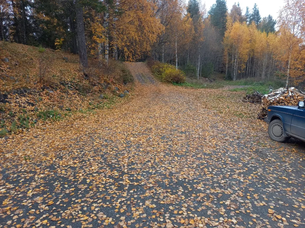Дом на берегу озера без соседей
