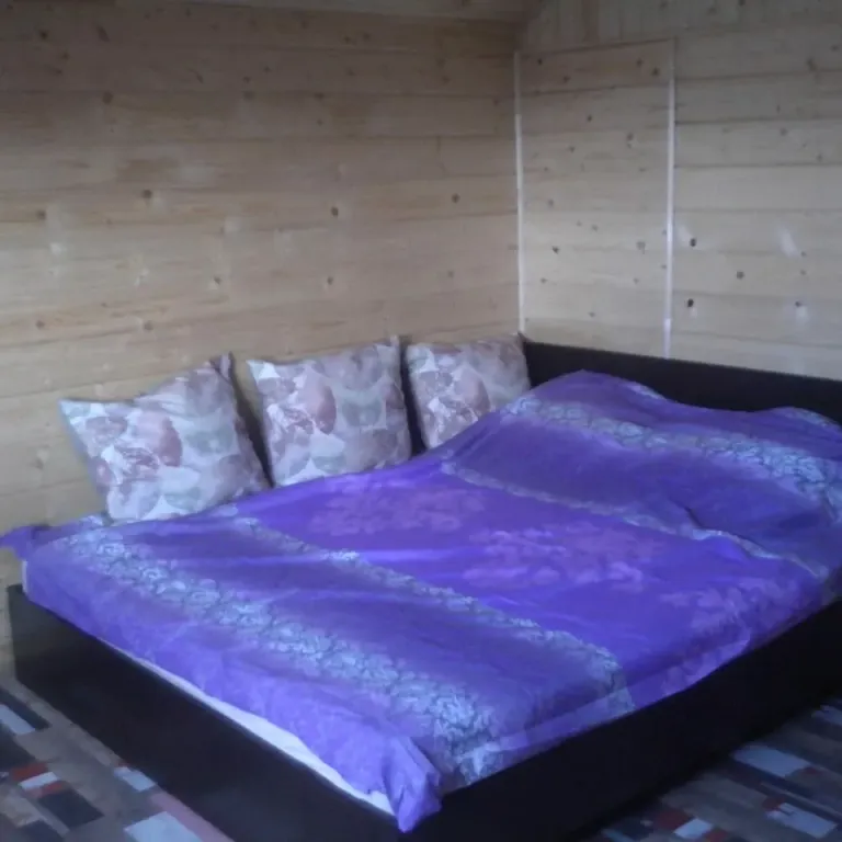 Уютный дом, можно с собакой