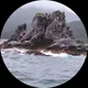 Алёна