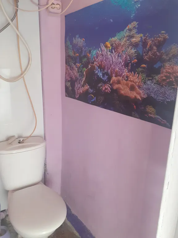 Комната в квартире у пляжа Солнечный