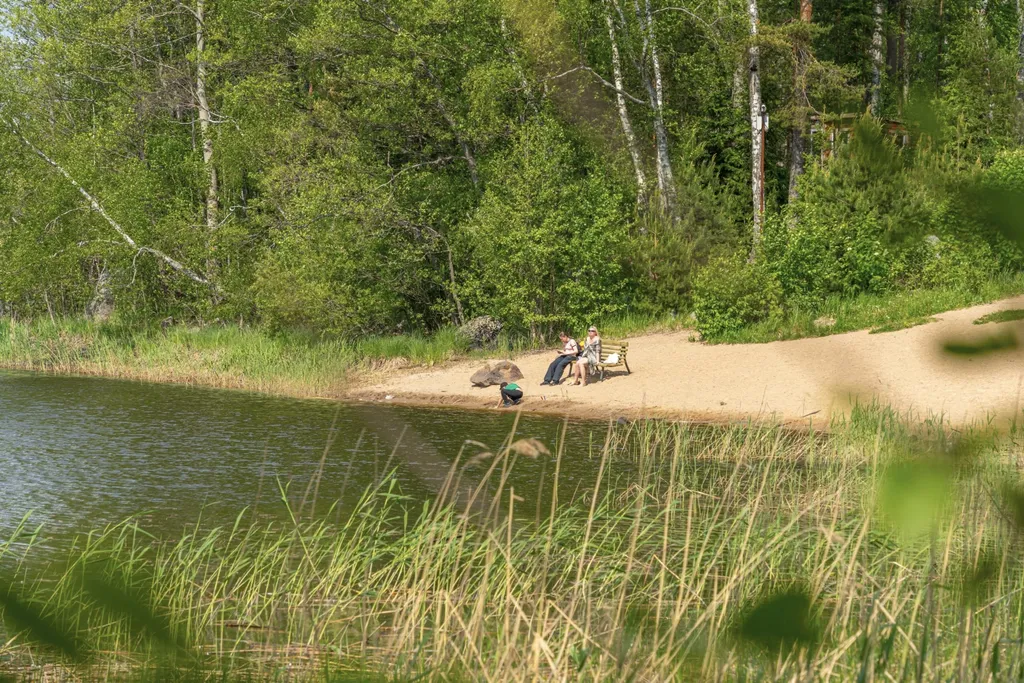 Малый коттедж у леса