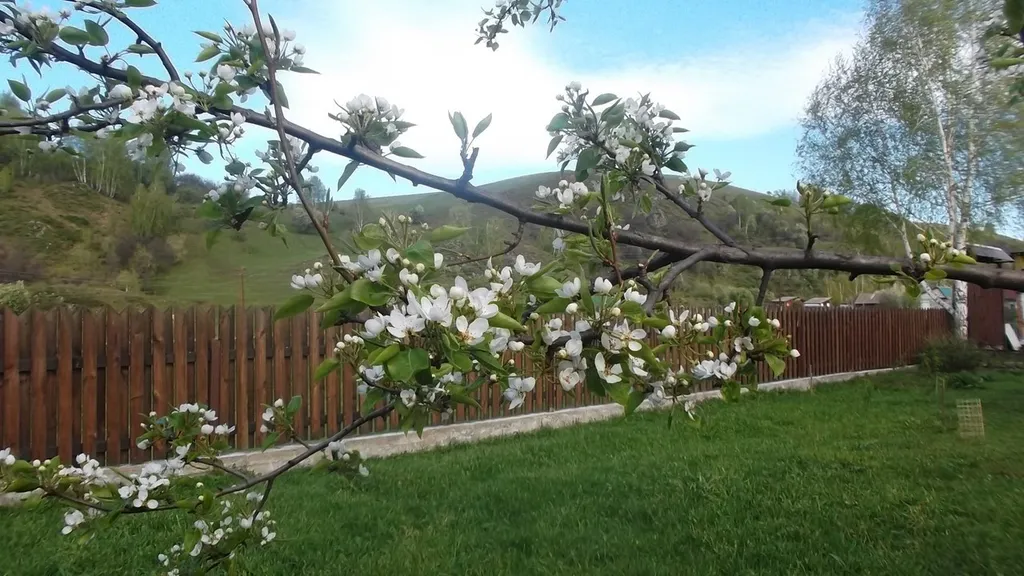 Кедровый дом для комфортного отдыха