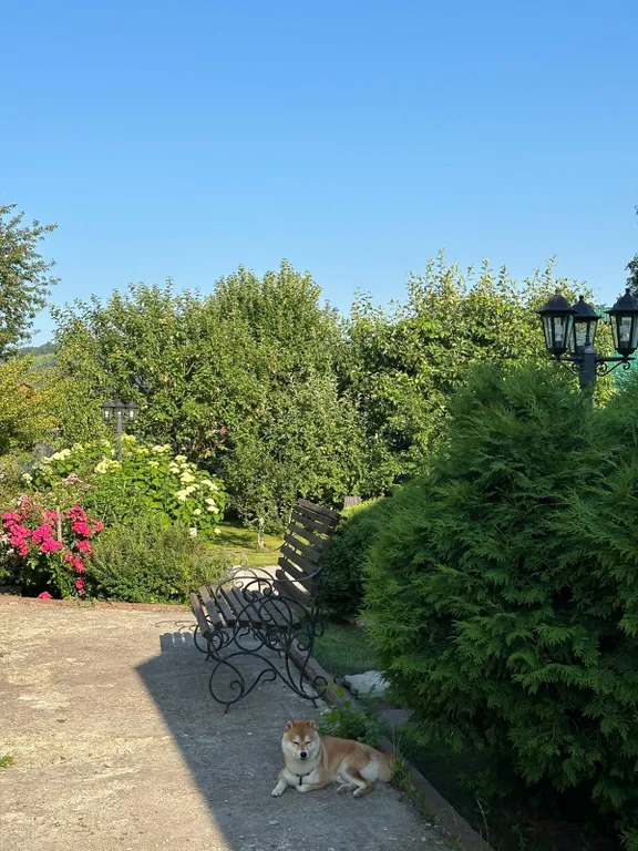 Уютный дом в живописном селе