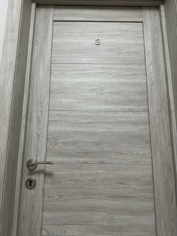 Квартира Квартира 3 комнаты, новый ремонт, кондиционер, 3 дивана, 3 кровати, до 12чел — Новосибирск