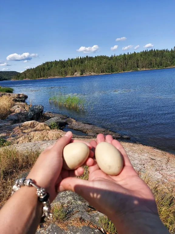 Рыбацкий хуторок