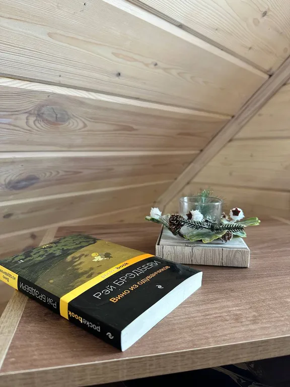 Коттедж Уютный барнаус для романтического и семейного отдыха за городом — Шишкино