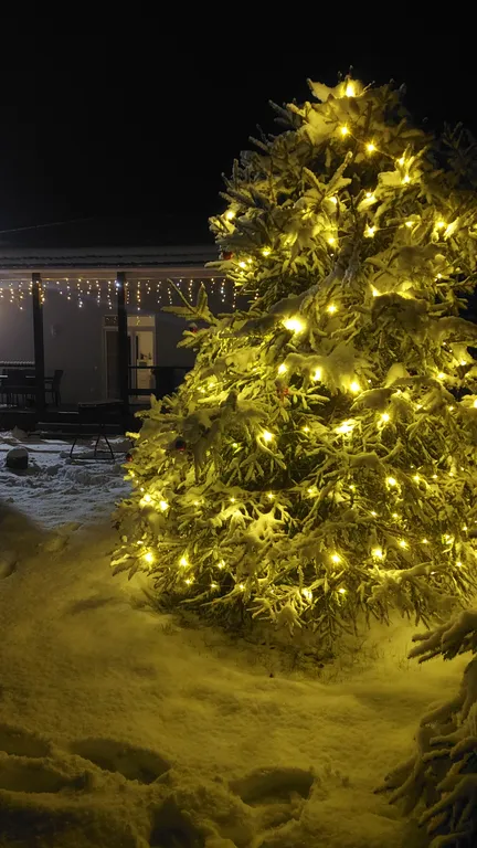 Уютный дом под Торжком в сосновом бору