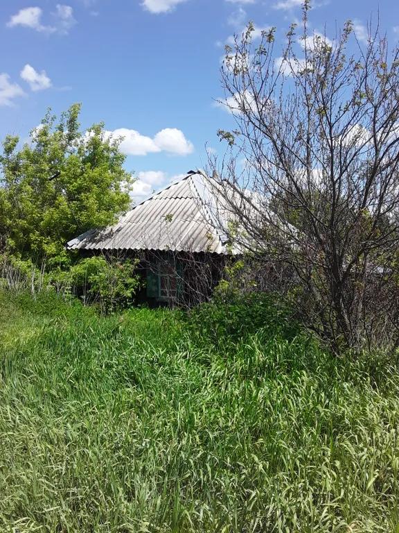 Дом в красивом тихом месте на реке Дон