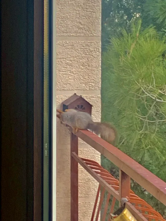 Квартира Квартира в центре, с прекрасным видом и большим балконом — Геленджик