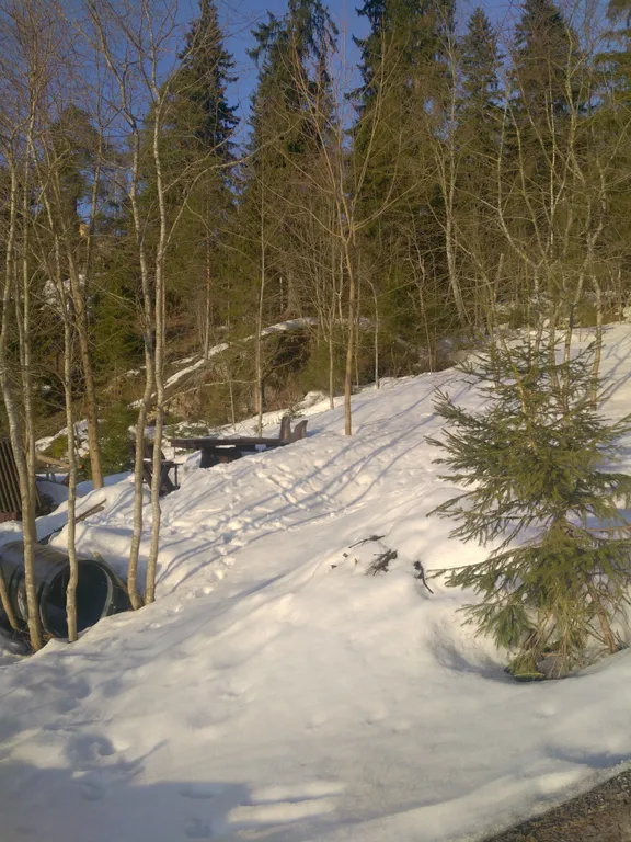 Домик с видом на лес