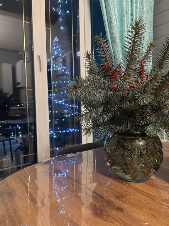 Дом с видом на город