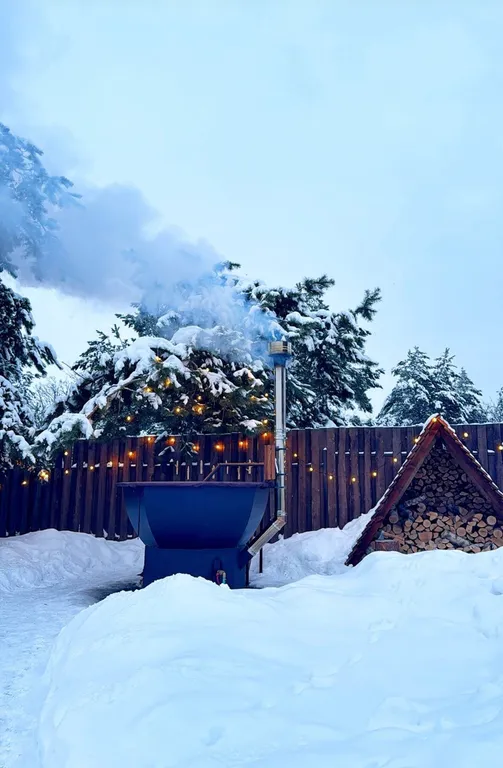 Аренда дома, аренда сибирского чана