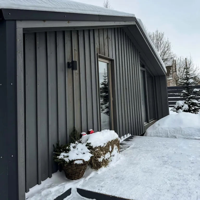 Дубльдом в сoснaх