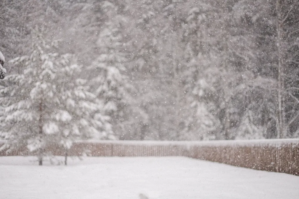Коттедж Гостевой дом малина — Хюмпеля