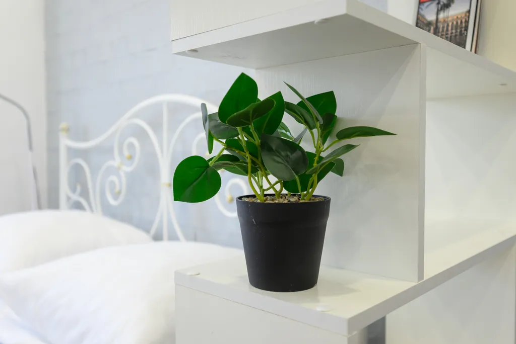 Студия в новом доме