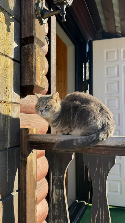 Уютный коттедж с видом на горы