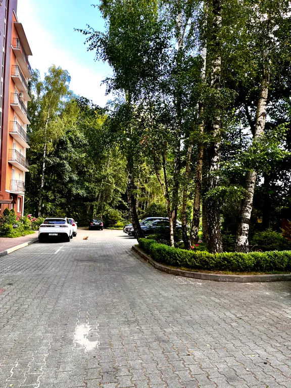 Уютная квартира рядом с морем