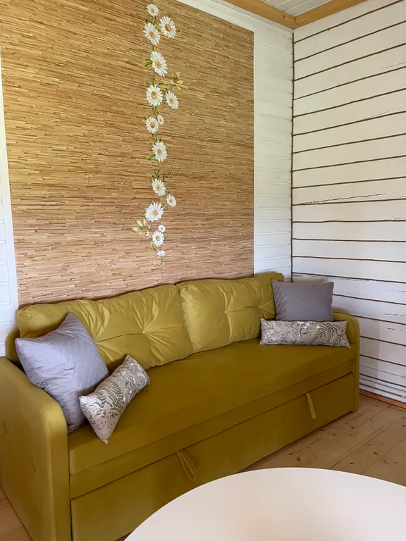 Коттедж Дом-дача Ромашки — Луховицы