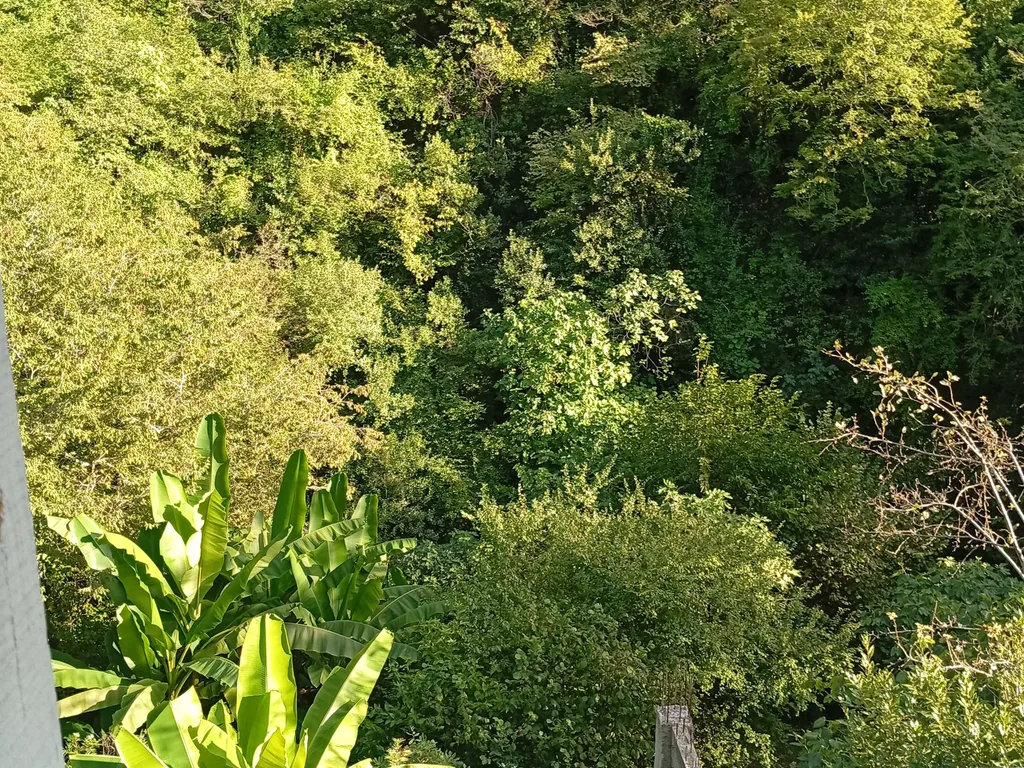 Доми с видом на лес и море