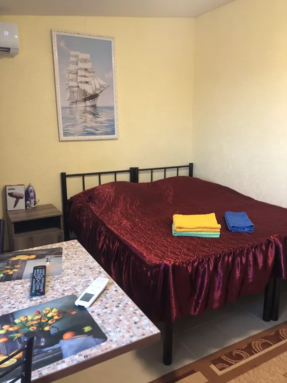 Двухместная студия со своей ванной комнатой и кухней