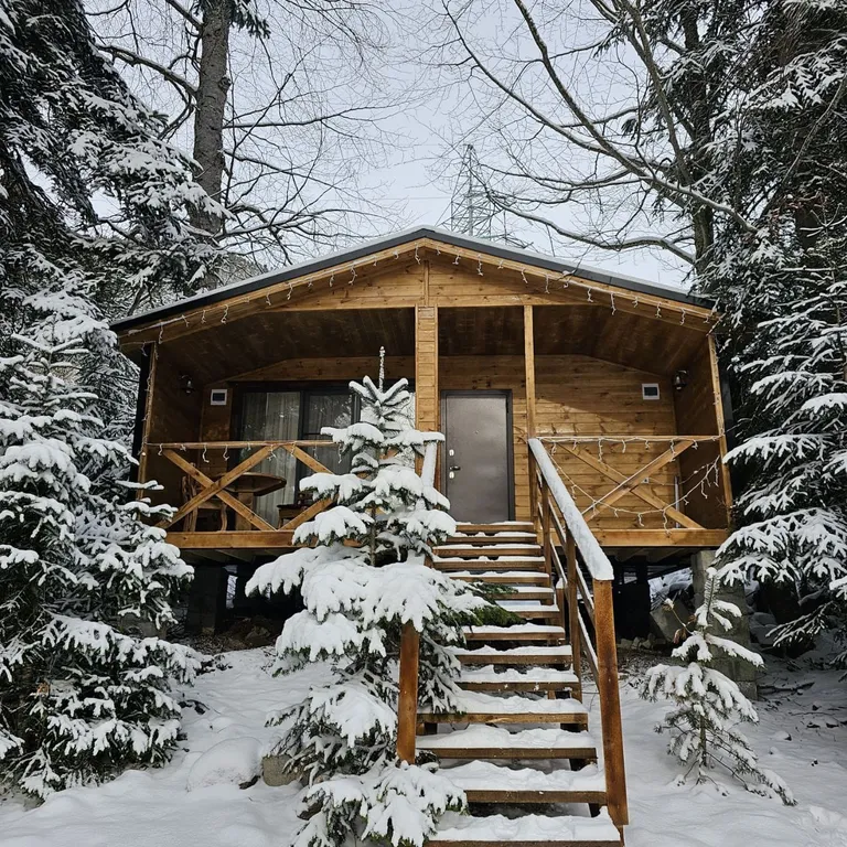Коттедж Коттедж Уютное шале в окружении леса — Архыз