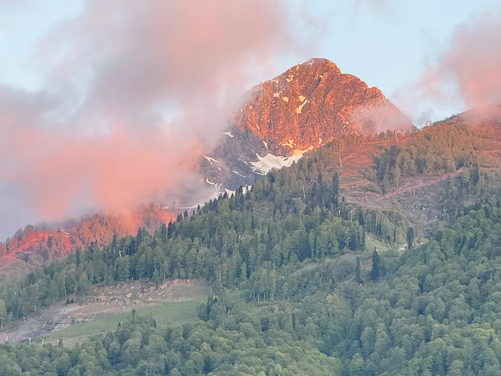 MOD House Катерина Альпика