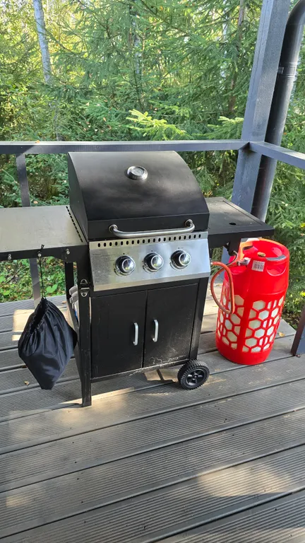 Проснуться в лесу