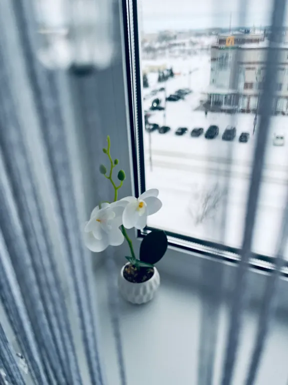 Шикарная квартира в центре