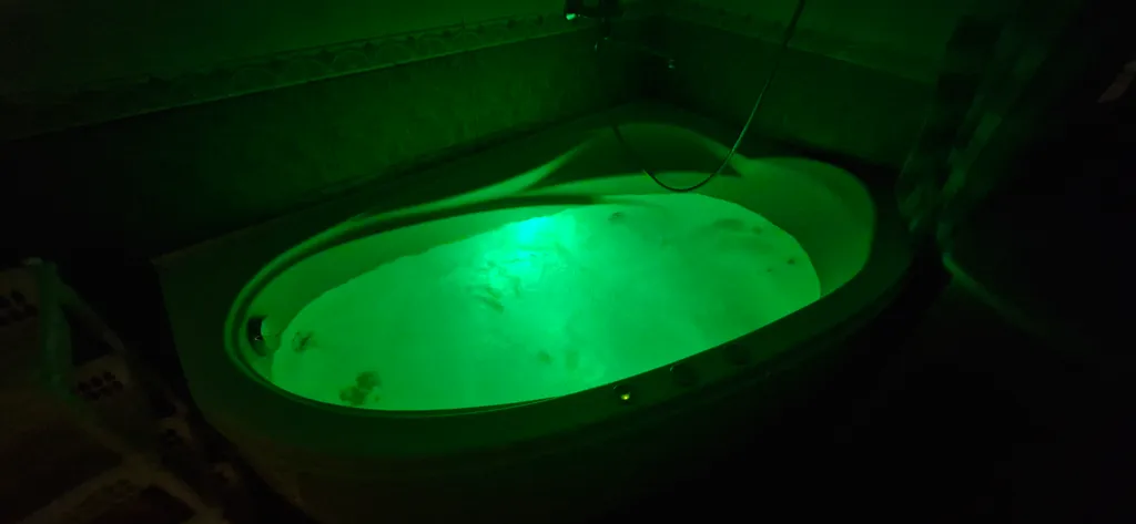 Большая уютная квартира в центре города