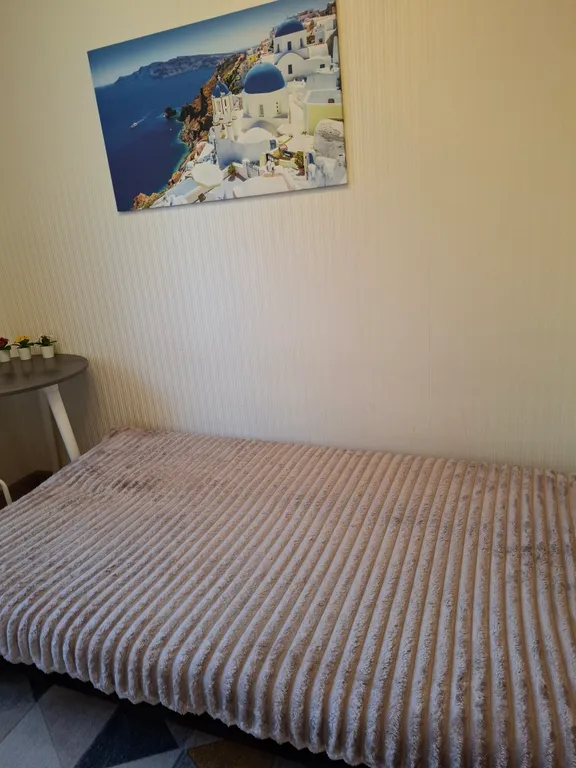 Комфортабельная студия в центральном районе