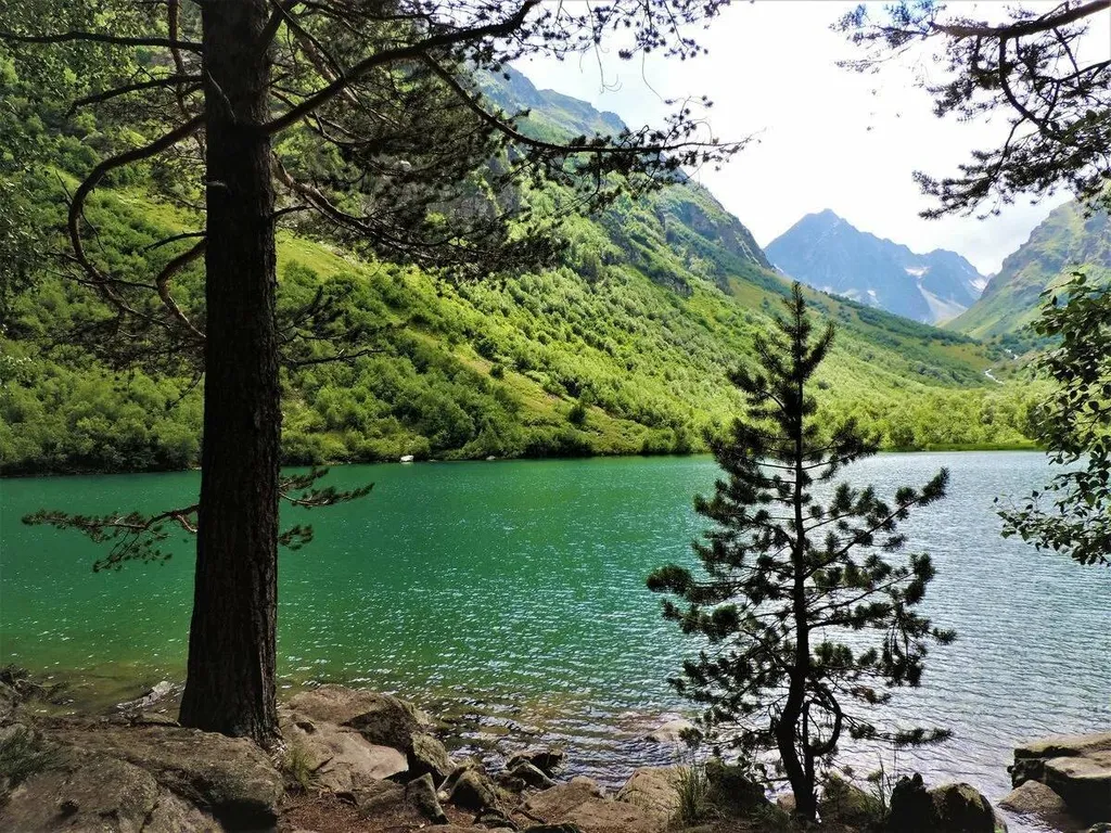 Коттедж Дом в лесу Лесная аура — аренда посуточно в Теберда