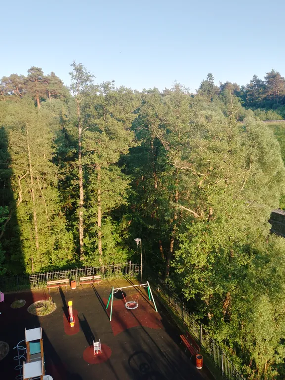 Квартира-студия с видом на сосновый бор