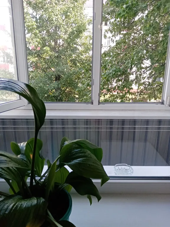 Уютная квартира рядом с городским озером и парком