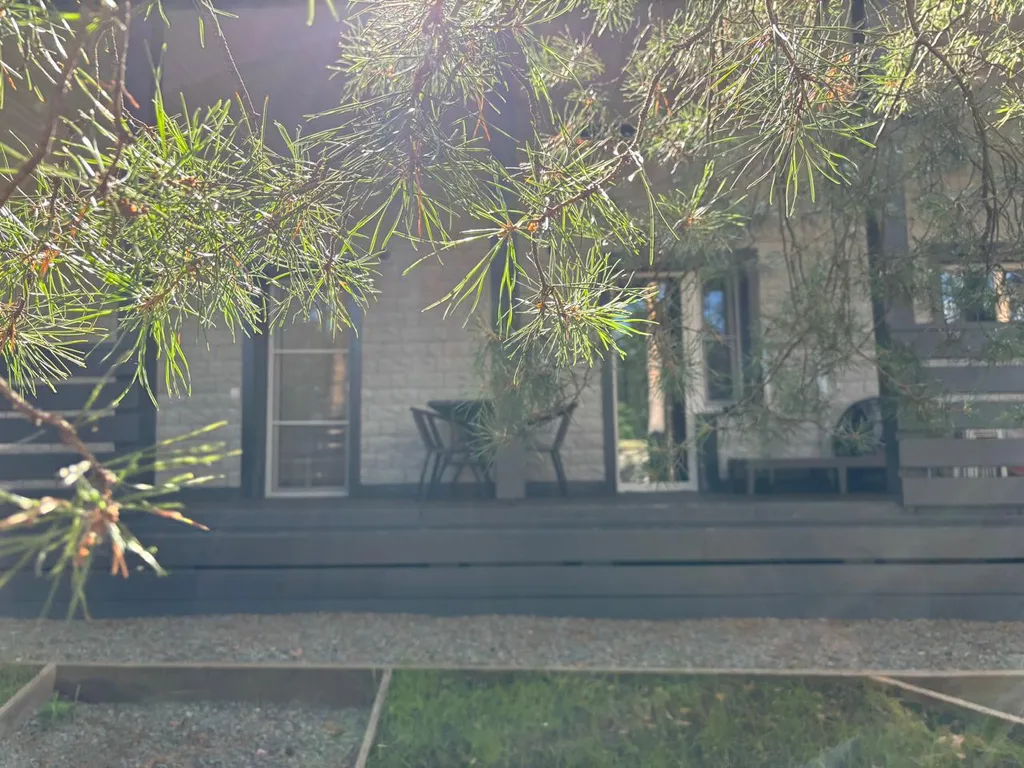 Уютный дом, баня на дровах, банный чан в сосновом бору Петрозаводска