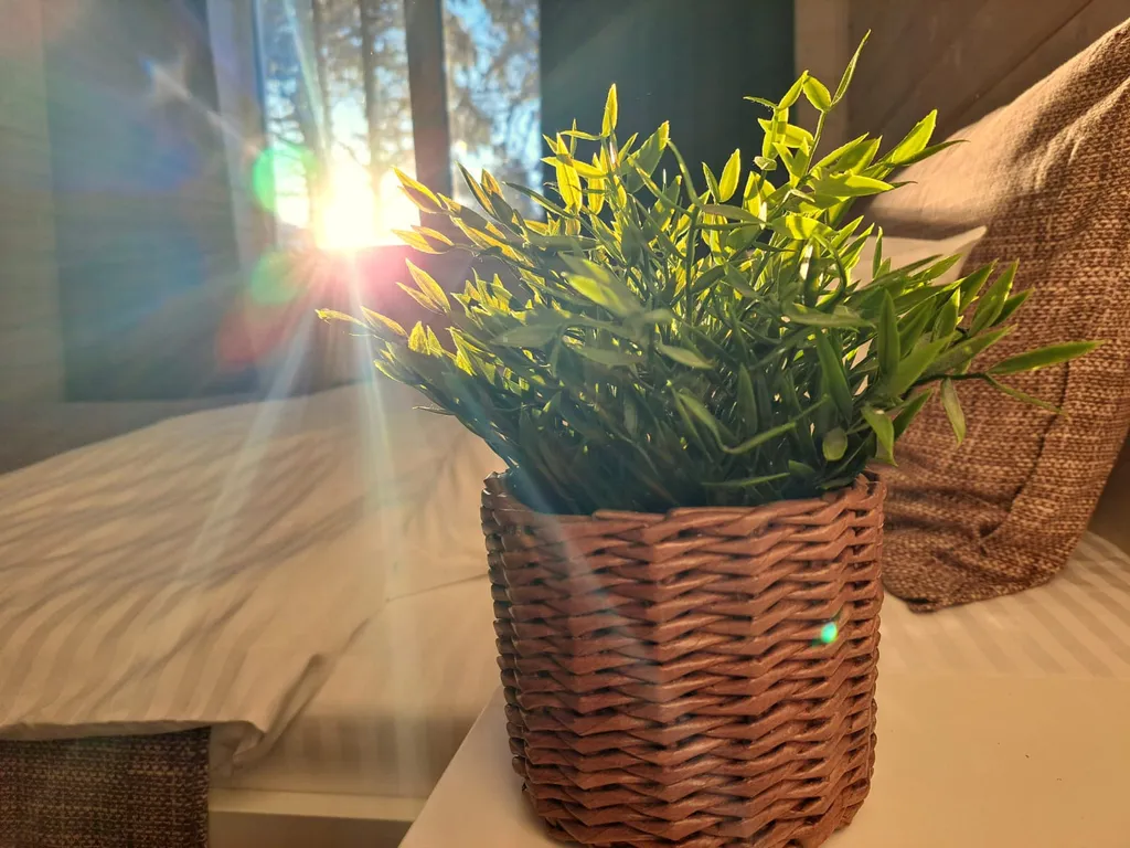 Дом солнце карелии на 5 человек с сауной