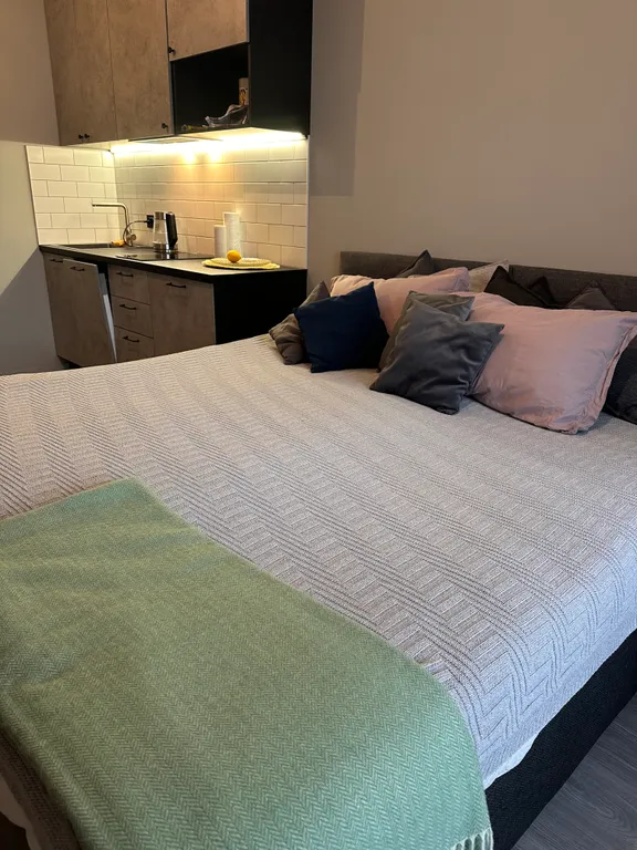 Студия на Новый Год в Курортном районе