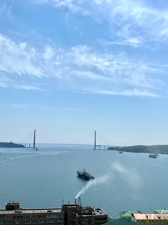 Квартира Квартира Уютная студия с видом на море — Владивосток