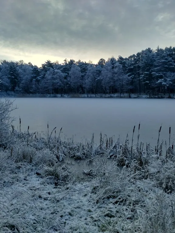 Коттедж Гостевой Дом Ветрово — Сосновка