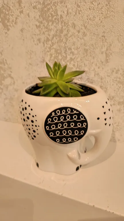 Квартира рядом с пляжем