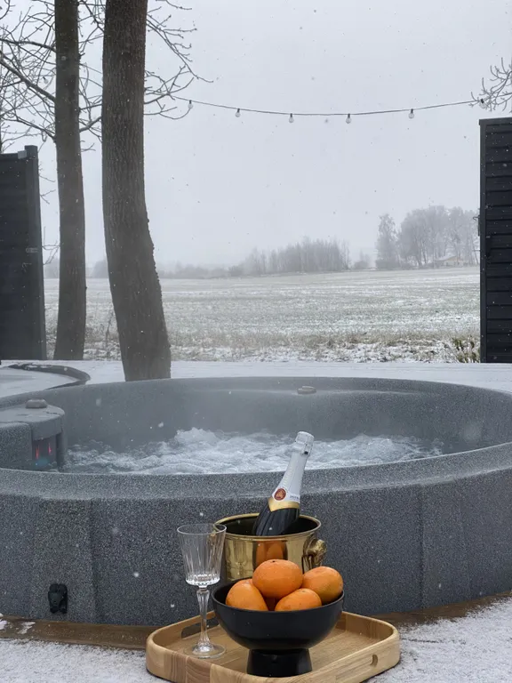 Скандинавский дом с джакузи, сауной и видом на живописное поле