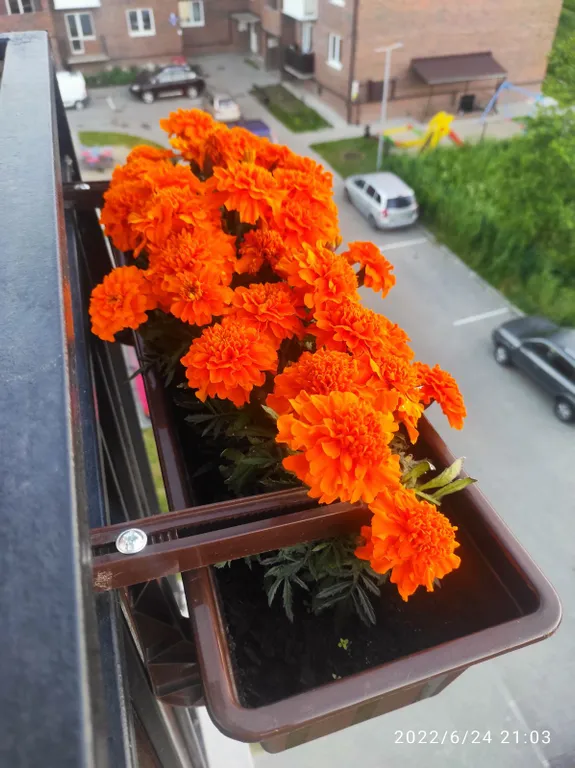 Лучший отдых на балтийском побережье